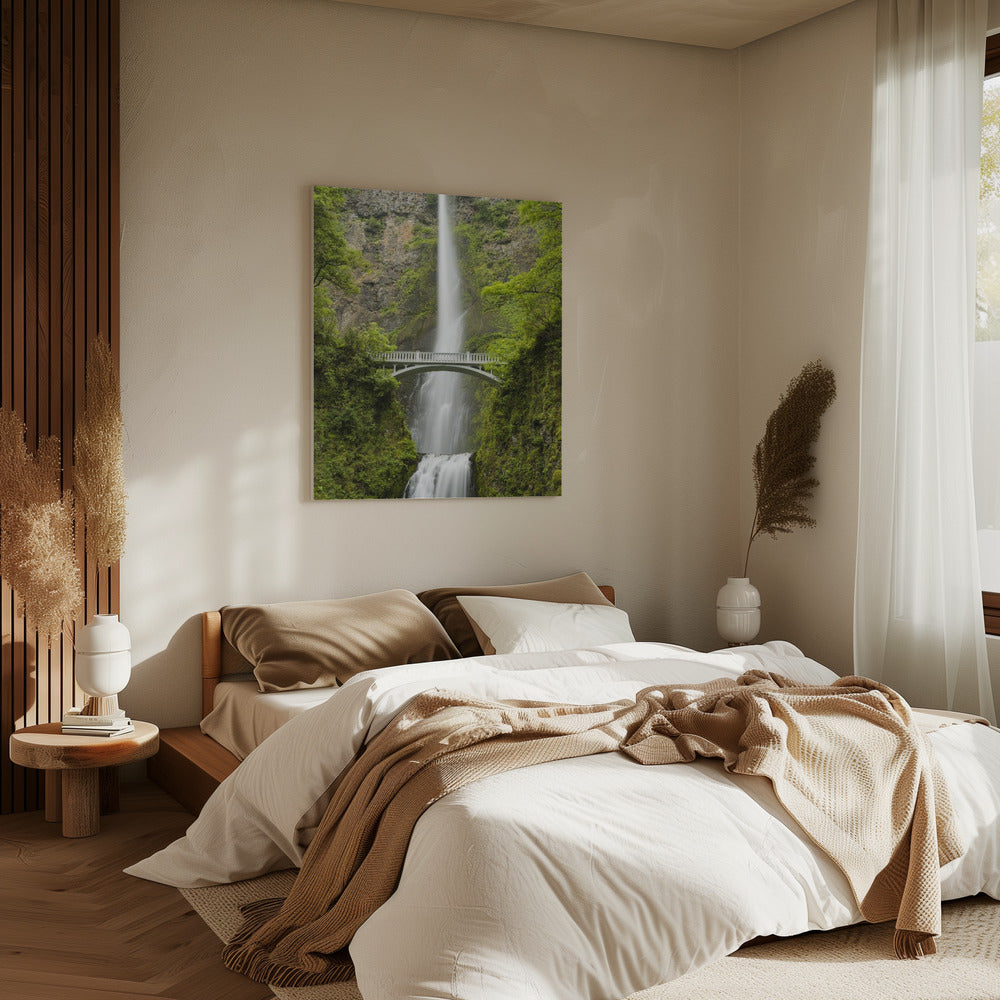 Soft Tail | Canvas
