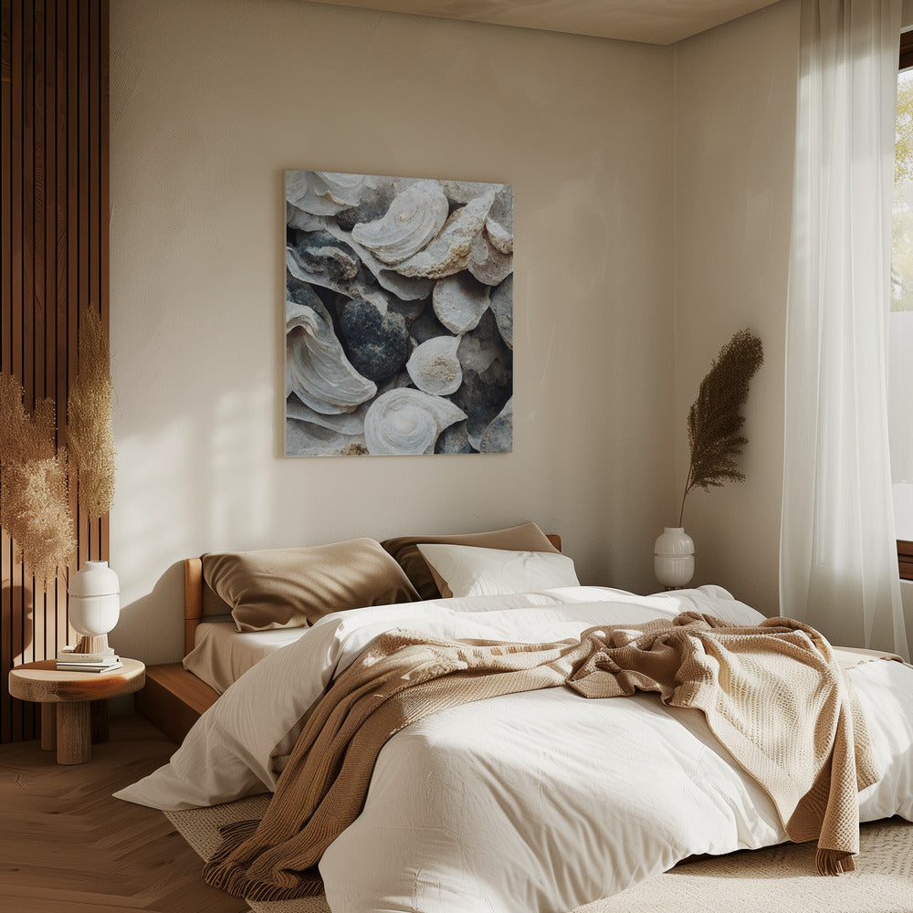 Shells and Stone | Canvas