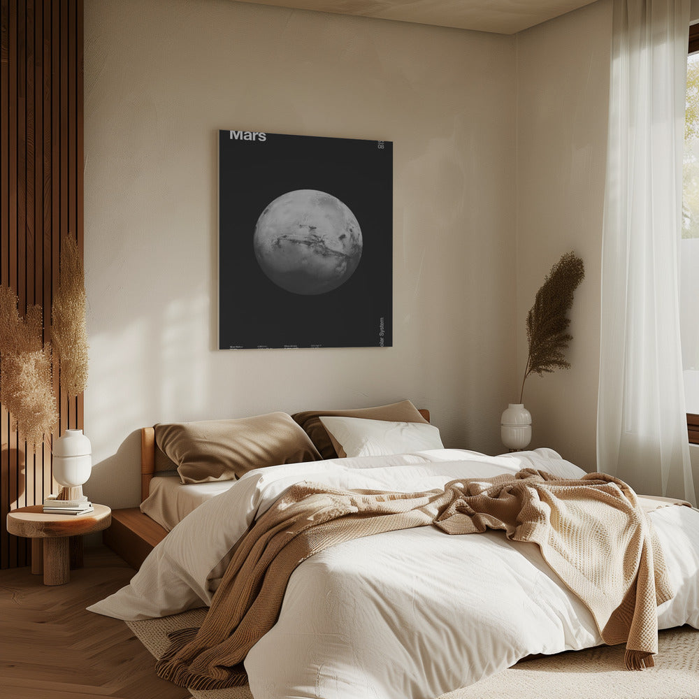 Solar System Mars | Canvas