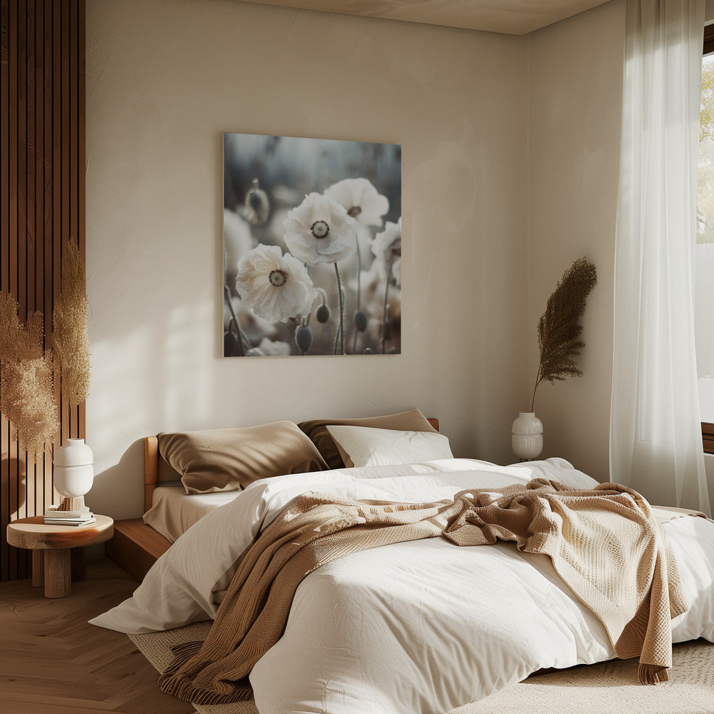 Whispers of Poppies | Canvas