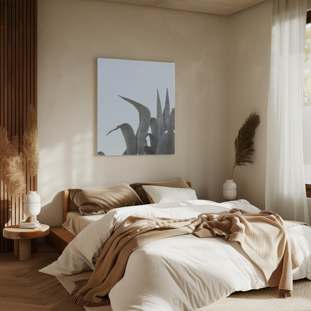 Azure Agave Dreams | Canvas