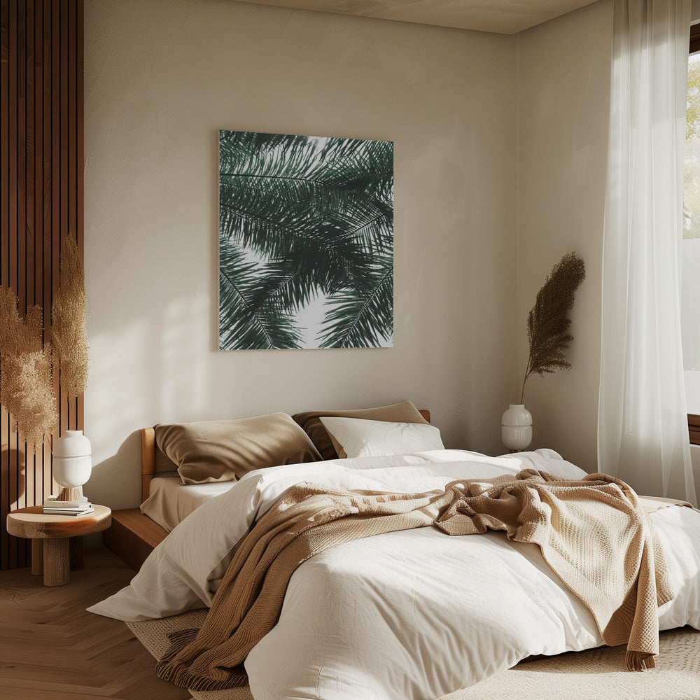 Sunlit Palms Canopy | Canvas