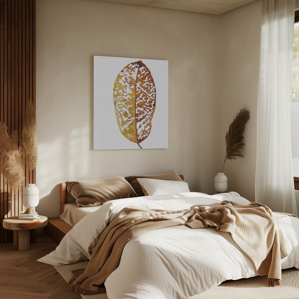 Faded Foliage Lace | Canvas