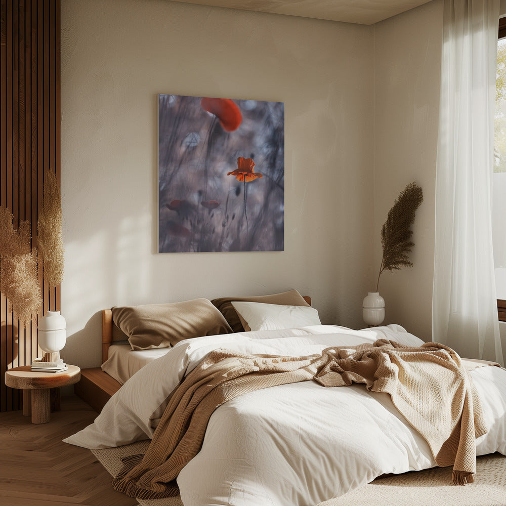 Desires and Passions | Canvas