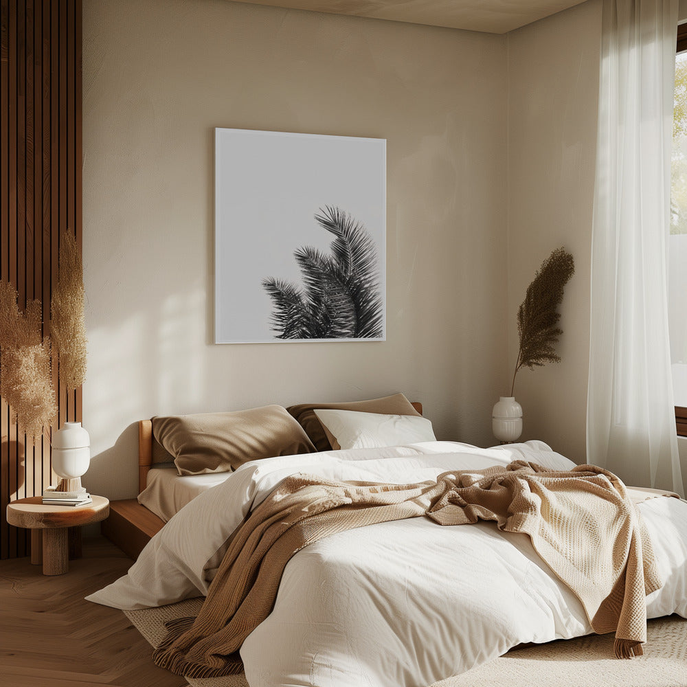 Palm Whisper | Canvas