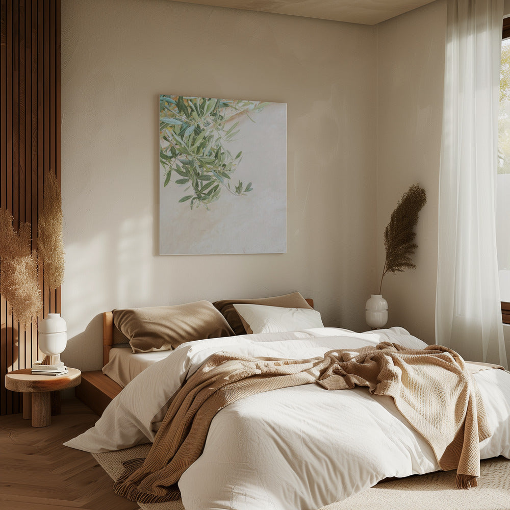 Olive Tree Leaves | Canvas