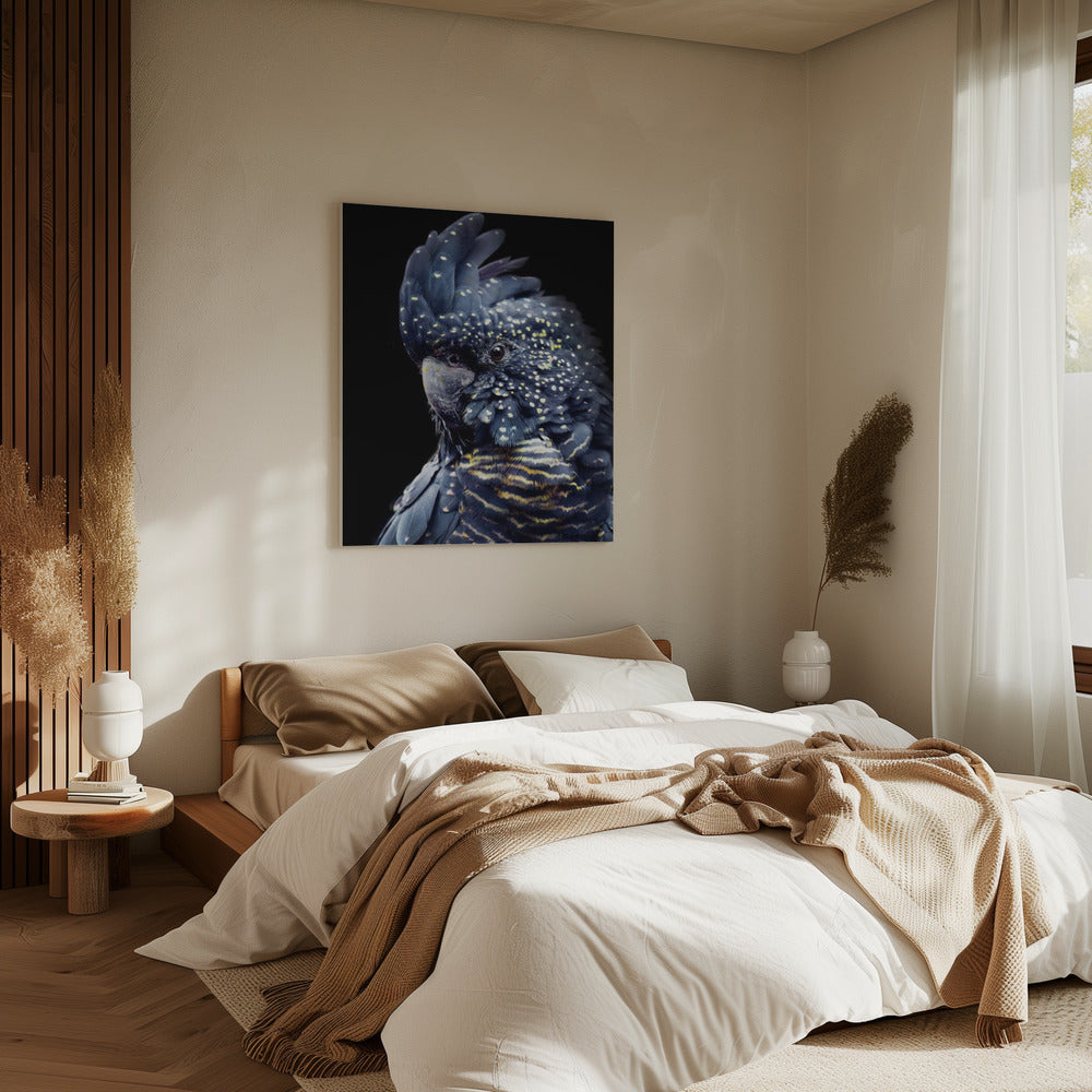 Blackcockatoo2 | Canvas