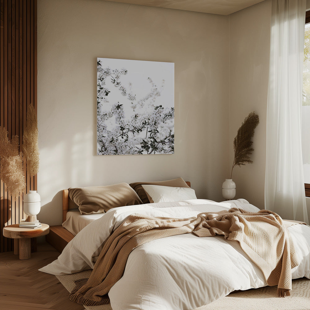White Spring Tree 3 | Canvas