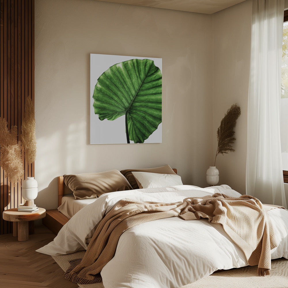 Leaves 11 | Canvas