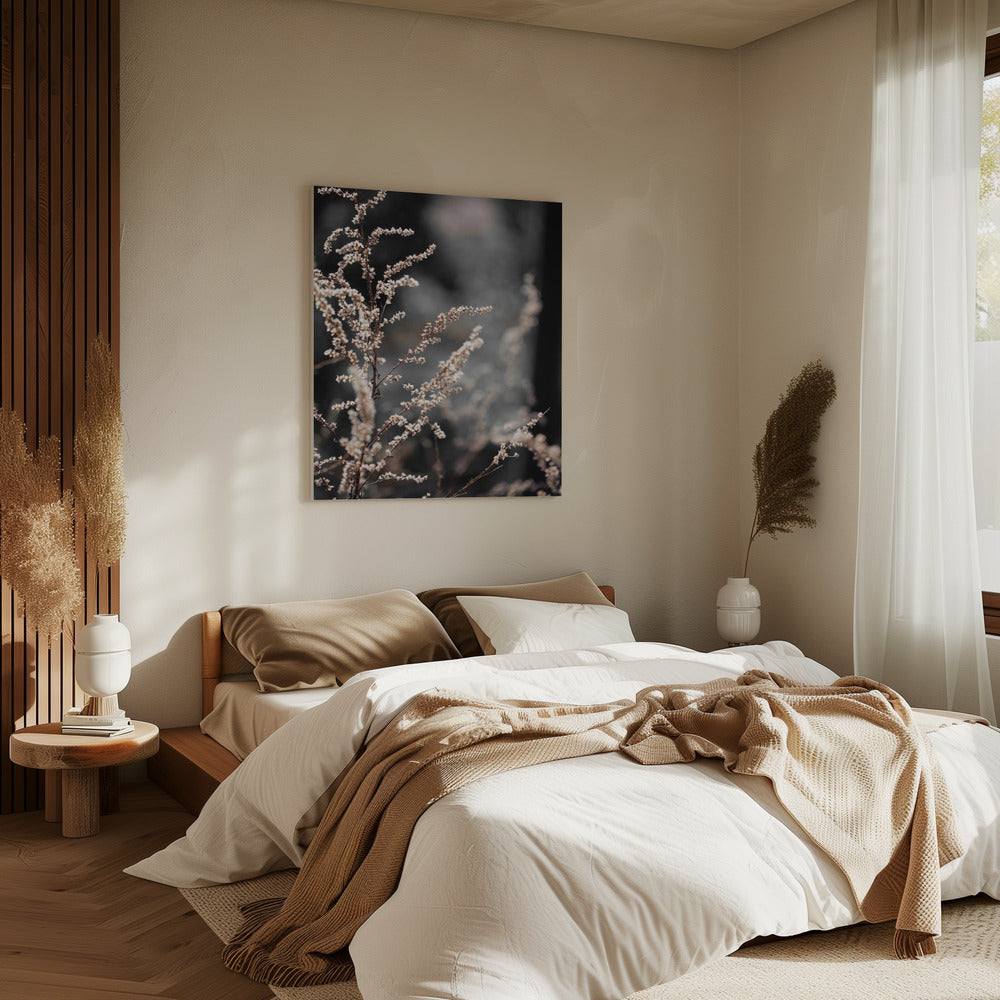 Unknown 9 | Canvas