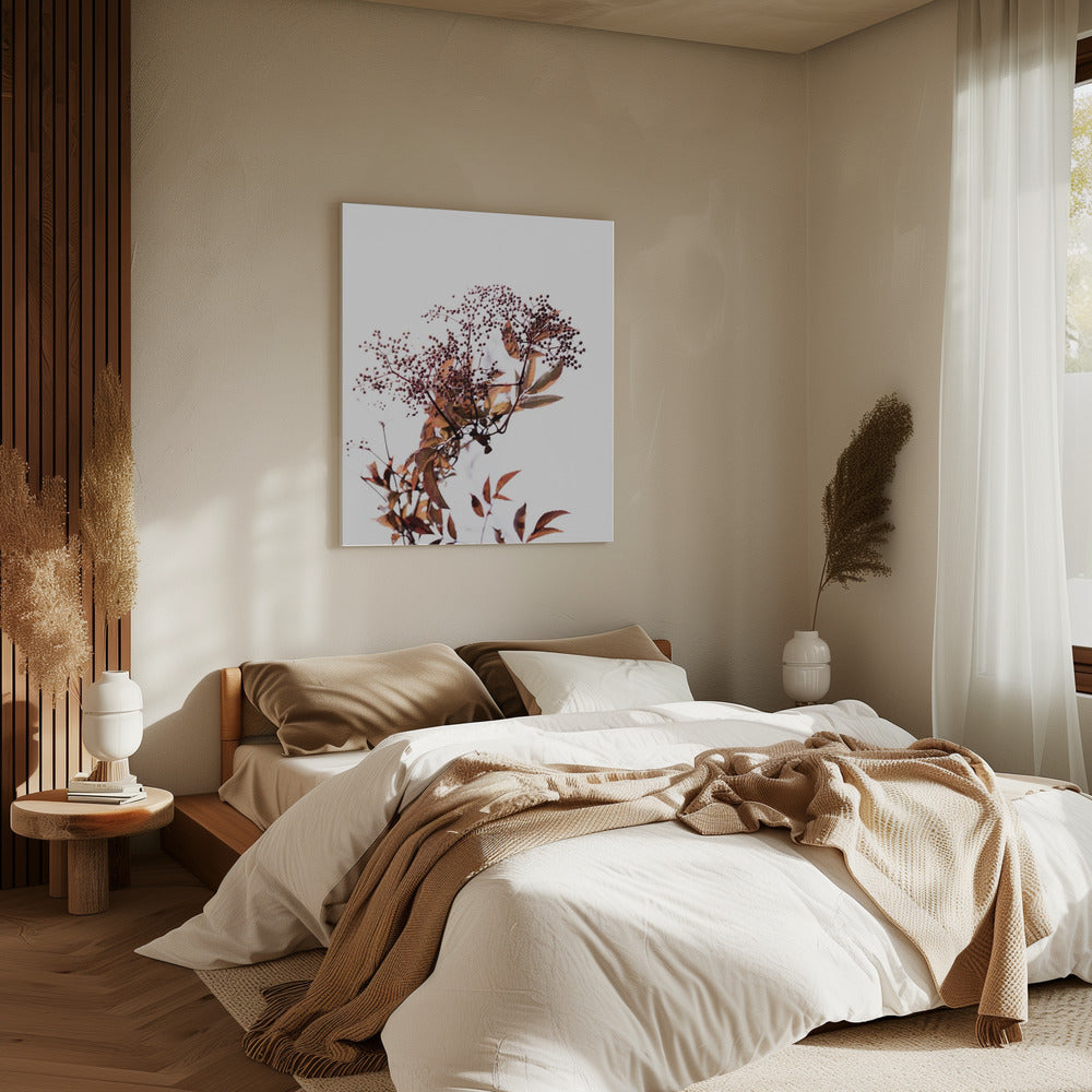 Unknown 14 | Canvas
