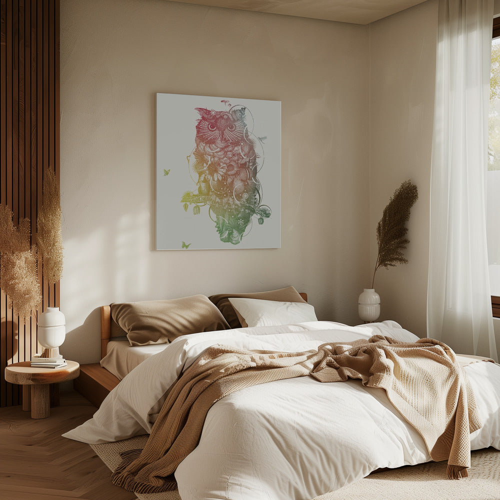 Owl | Canvas