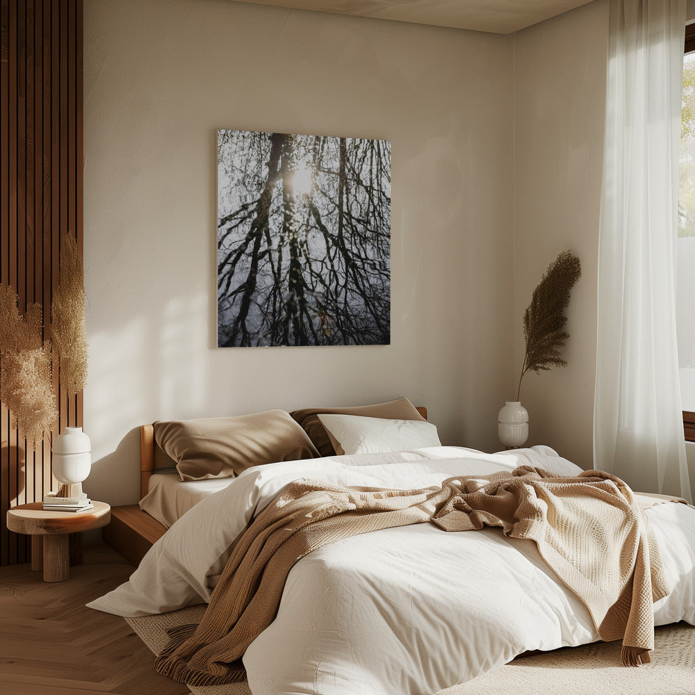 Winter Reflections 4 | Canvas