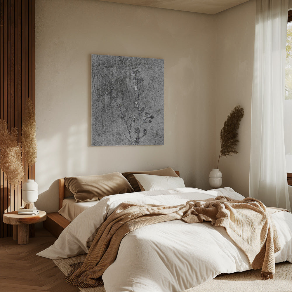 Delicate Decay | Canvas