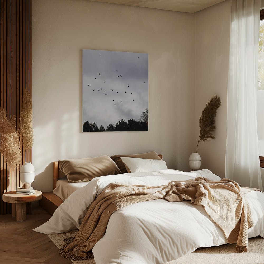 Birds and Clouds 1 | Canvas