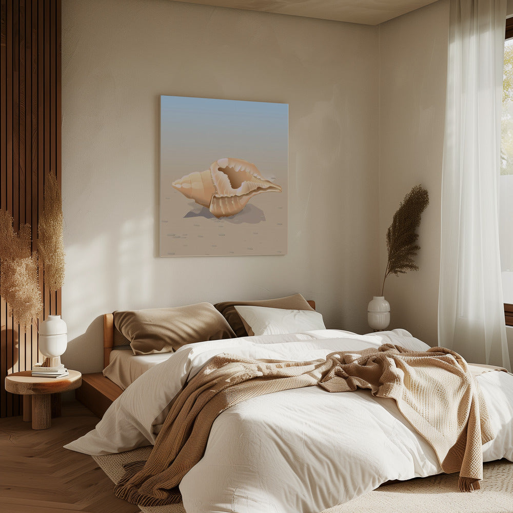 Seaside Shell | Canvas