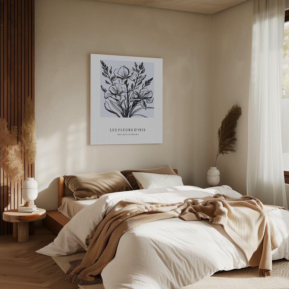 Iris Flowers In A Monochrome Illustration | Canvas