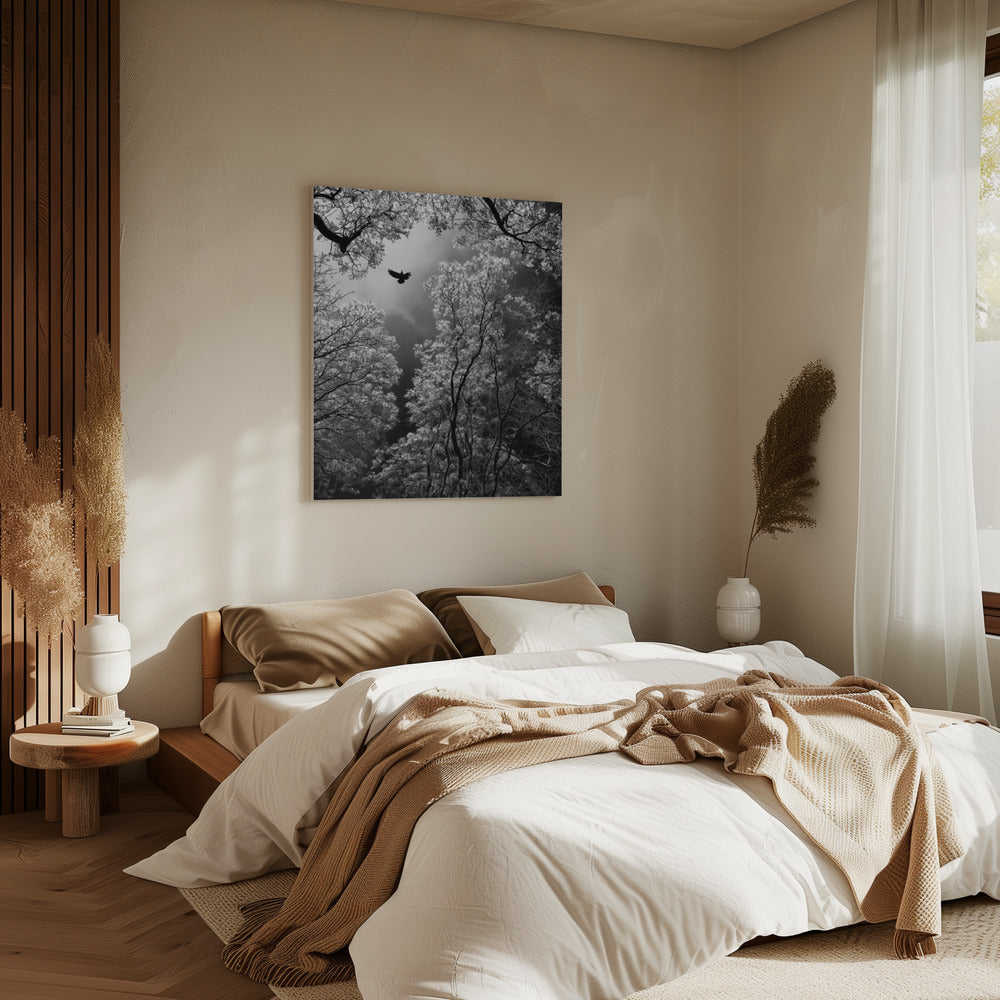 Flight | Canvas