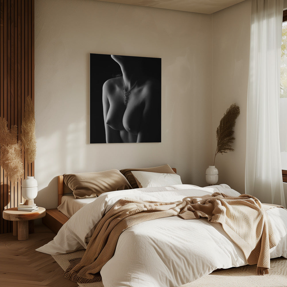 Nude curves | Canvas