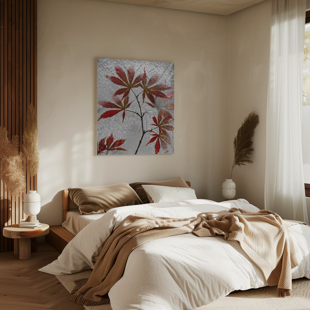 red maple | Canvas