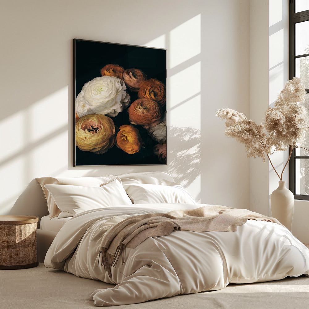 Ranunculus | Poster