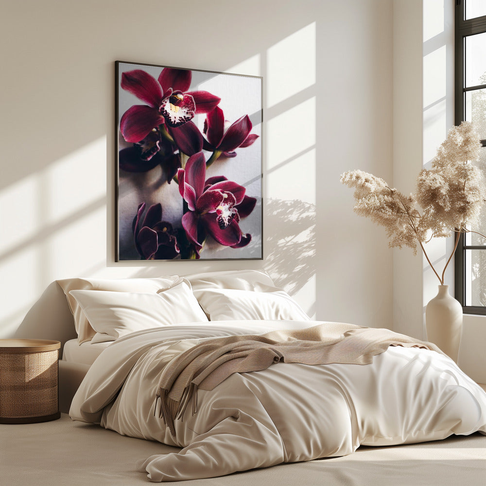 Orchid Elegance | Poster