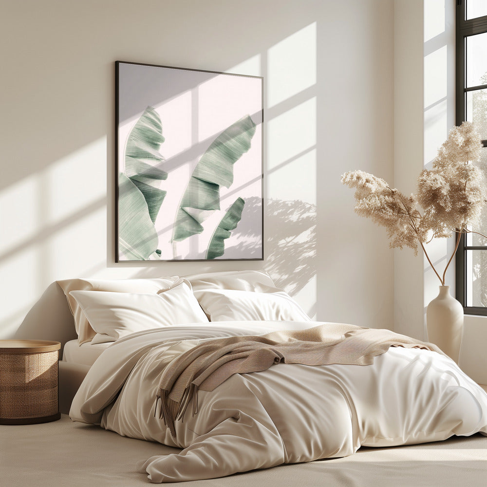 Blush Banana Leaves | Poster