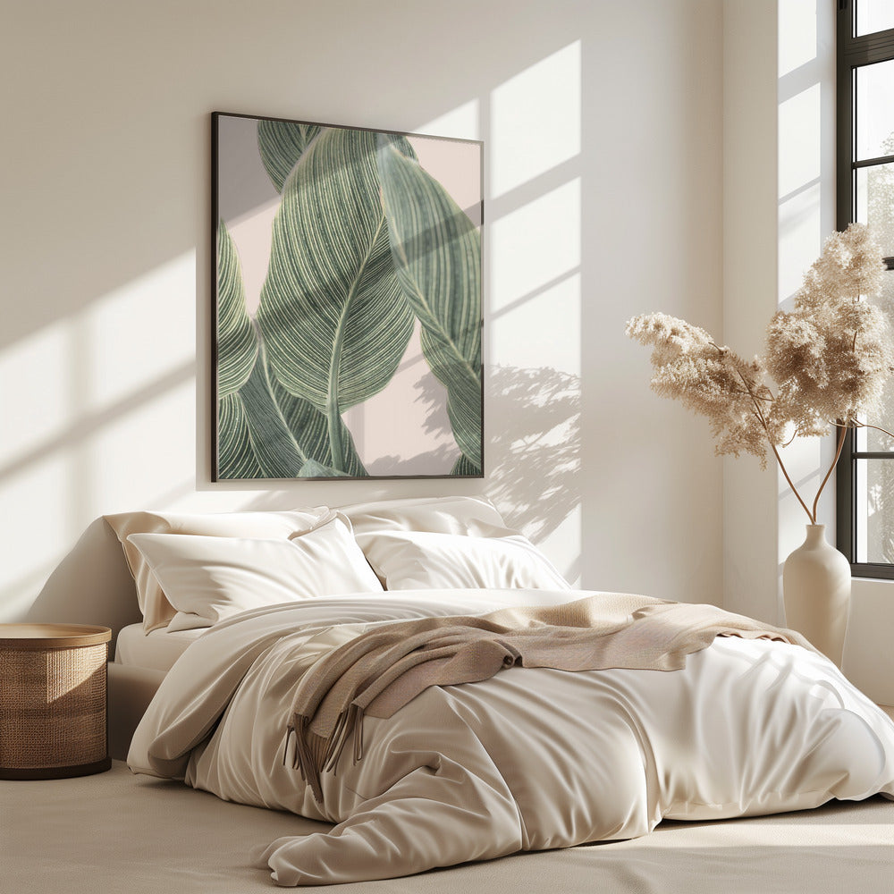 Calla Leaf | Poster
