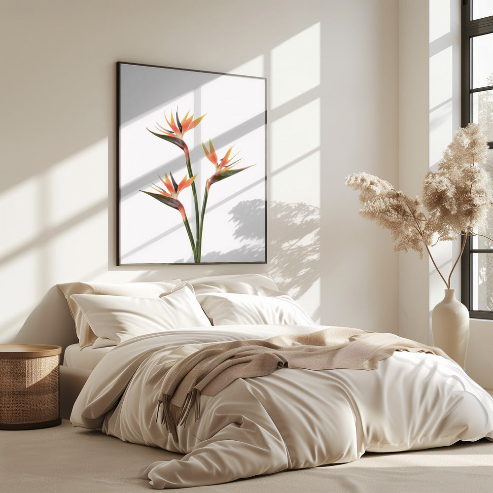 Birds of Paradise | Poster