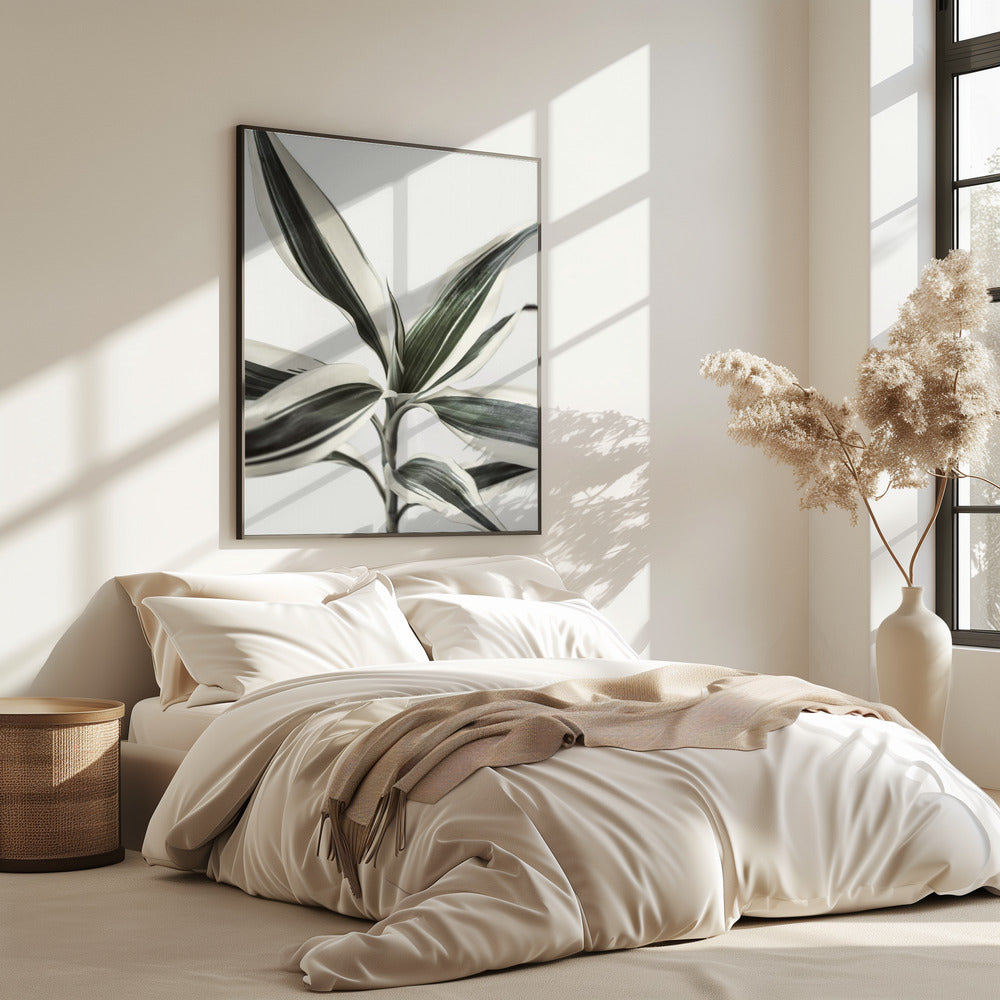 Foliage | Poster