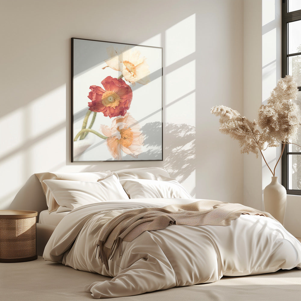 Poppies | Poster