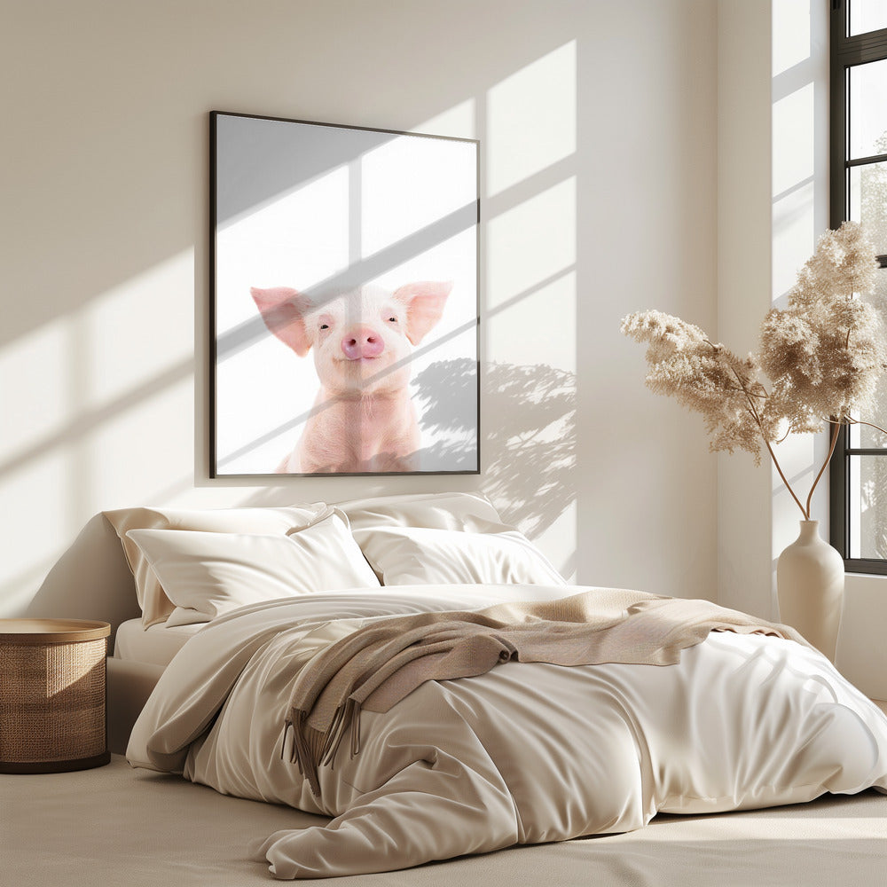 Baby Pig | Poster