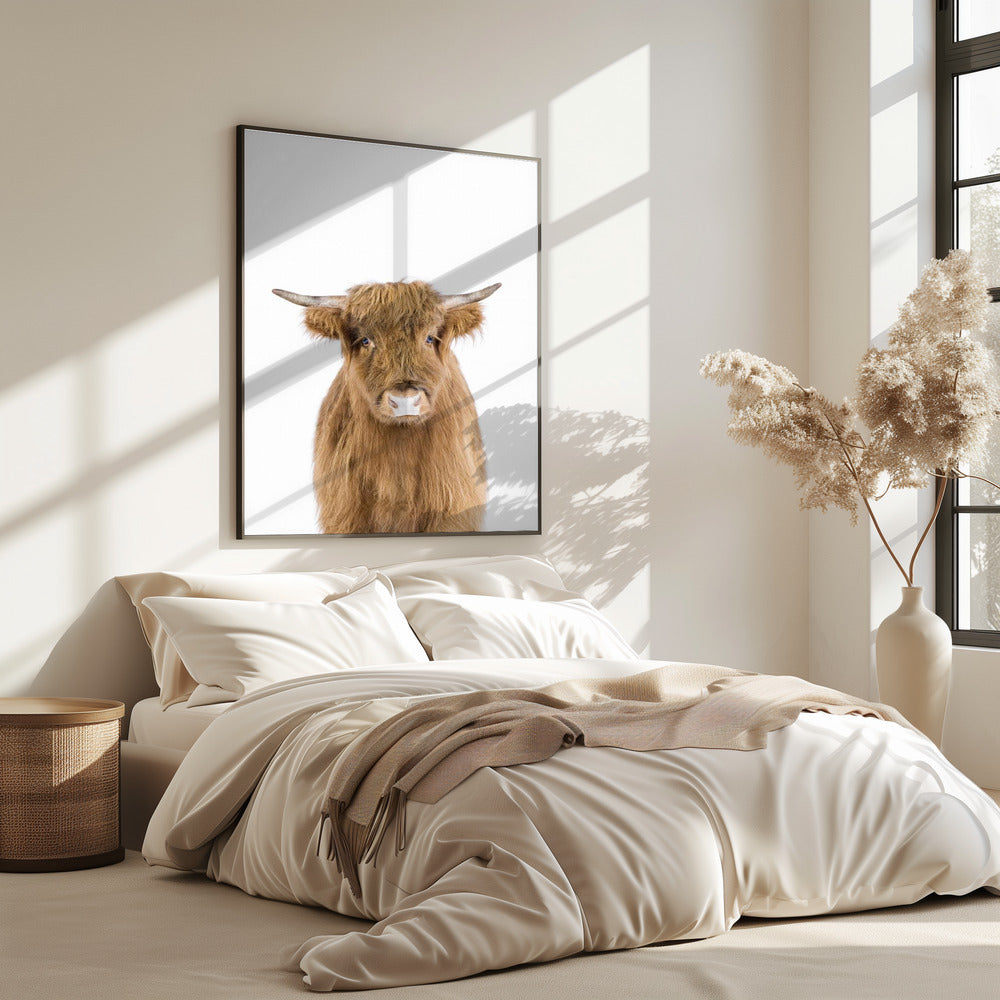 Baby Cow | Poster