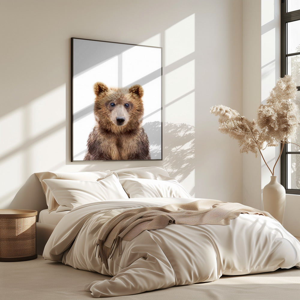 Baby Bear | Poster
