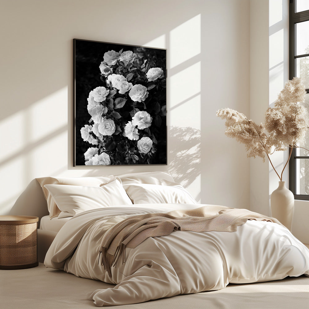 Rose Bush | Poster