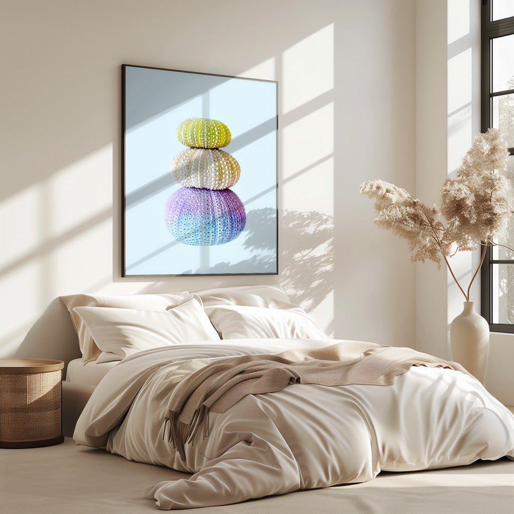 Sea Urchins | Poster