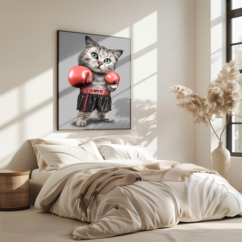 boxing cat | Poster