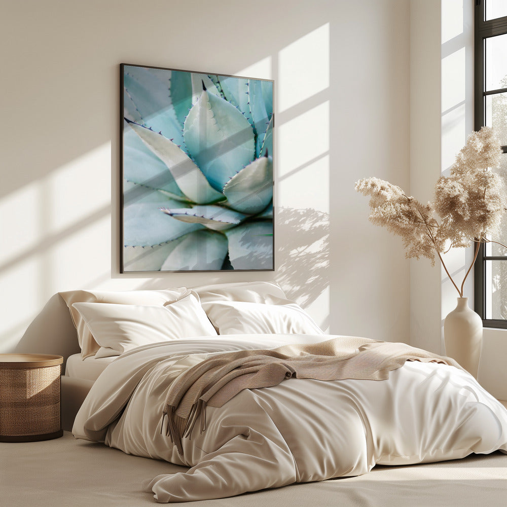 Succulent Green | Poster