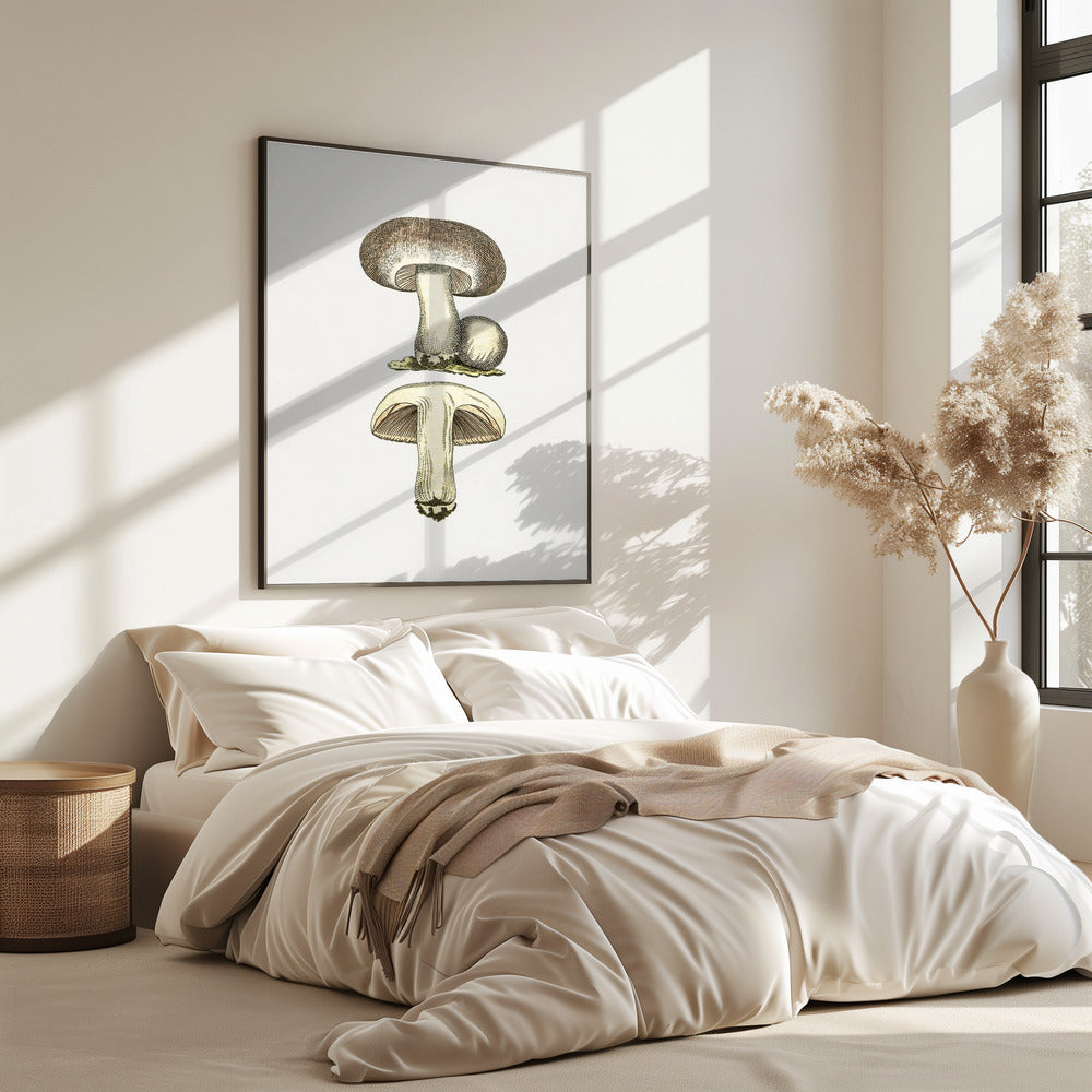 Hand Drawn Field Mushroom Gray | Poster