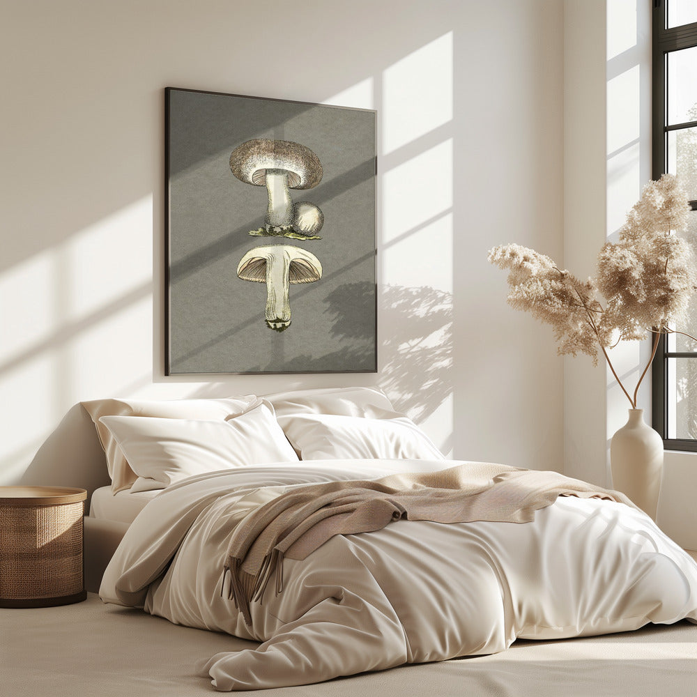 Field Mushroom | Poster