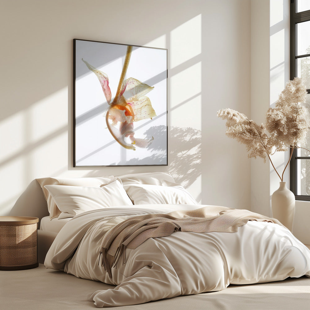 Petal Symphony | Poster