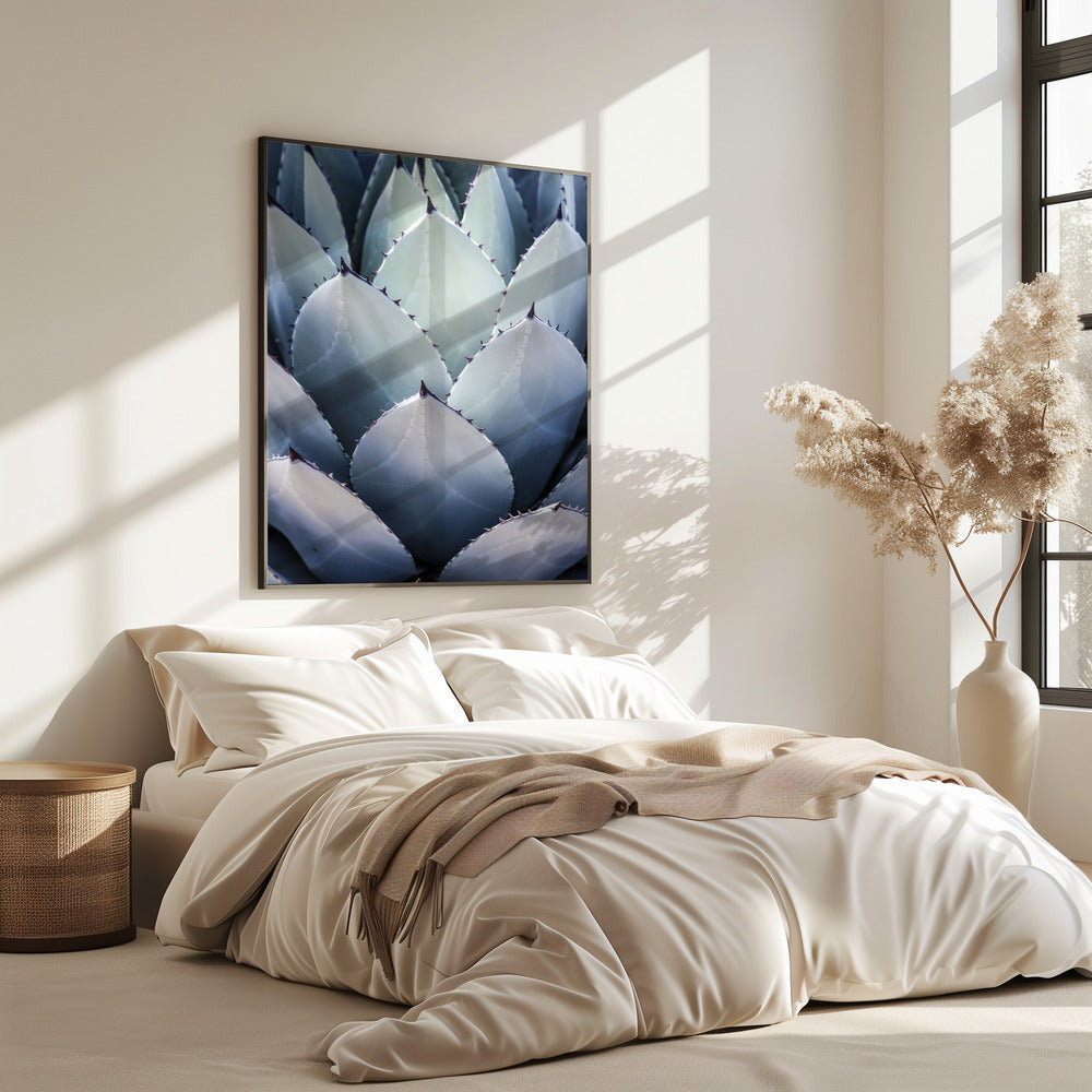 Agave Geometry | Poster