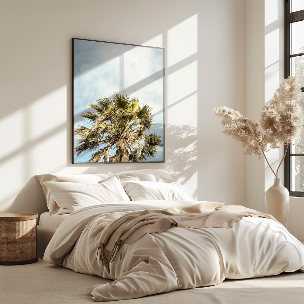 Sunlit Fronds | Poster