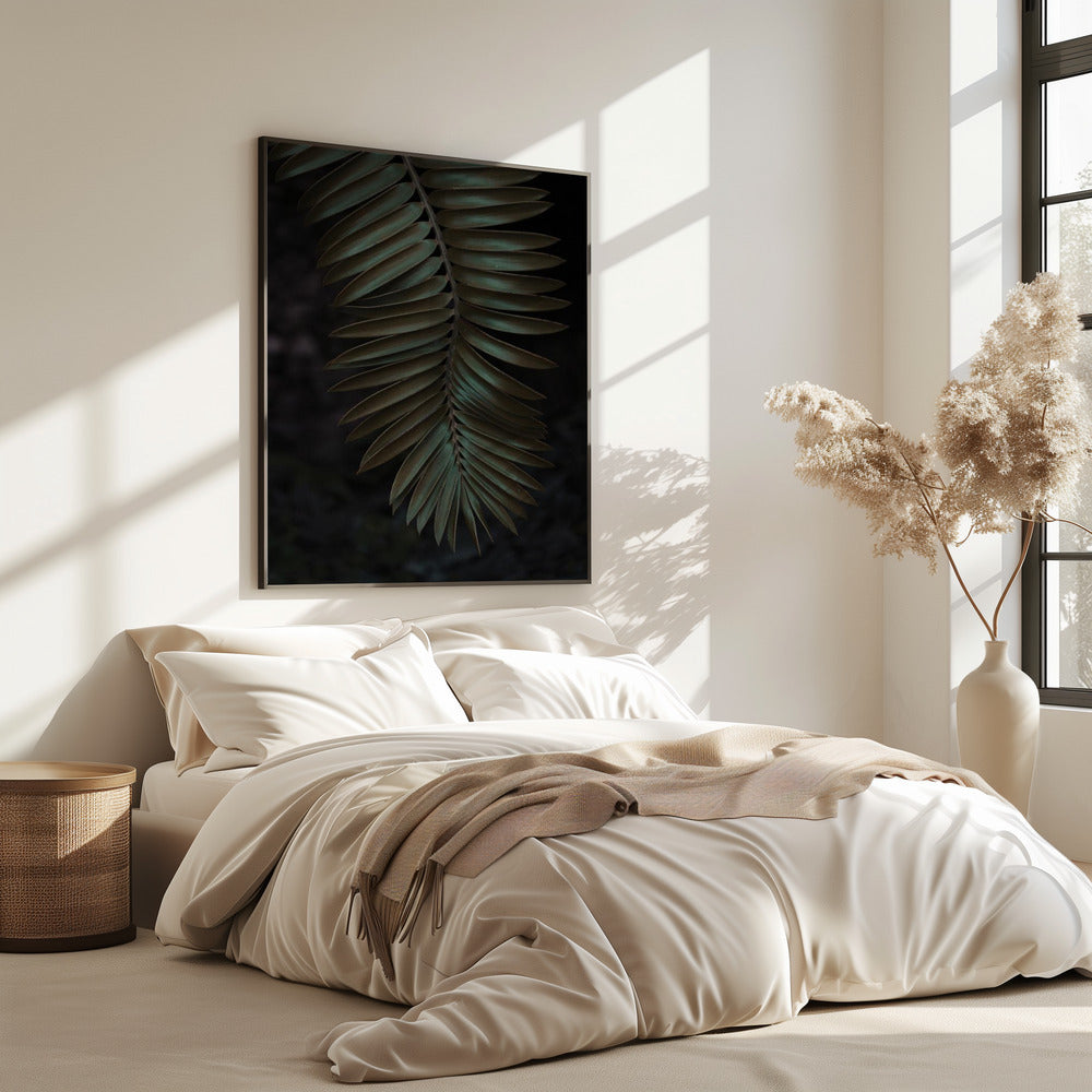 Frond in Shadow | Poster