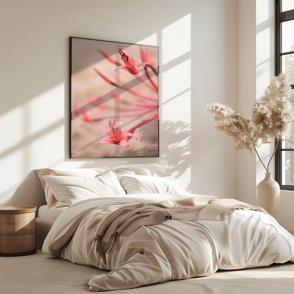 Petals in Focus | Poster