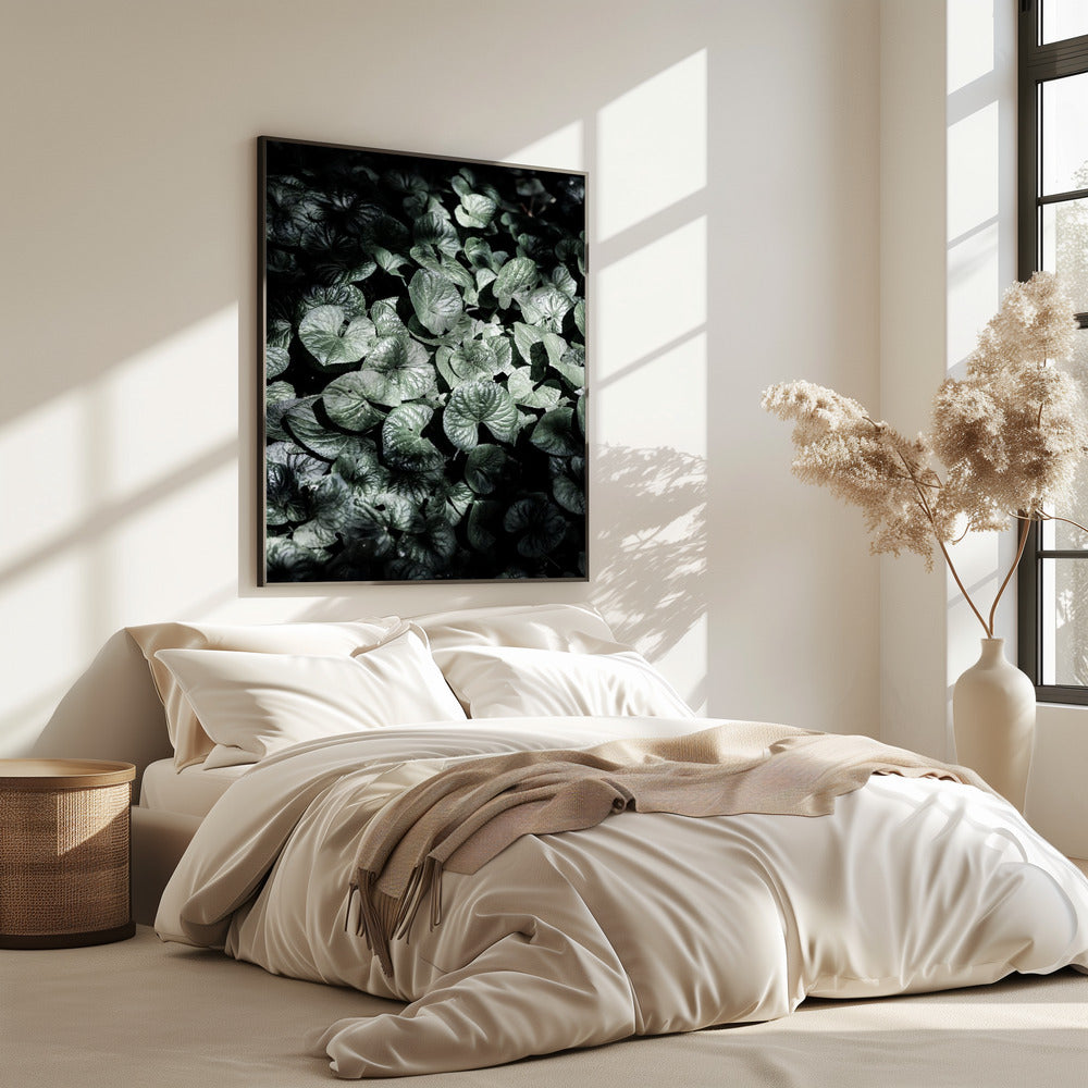Leafy Shadows | Poster