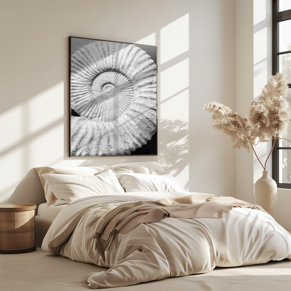 Ancient Spiral Dreams | Poster