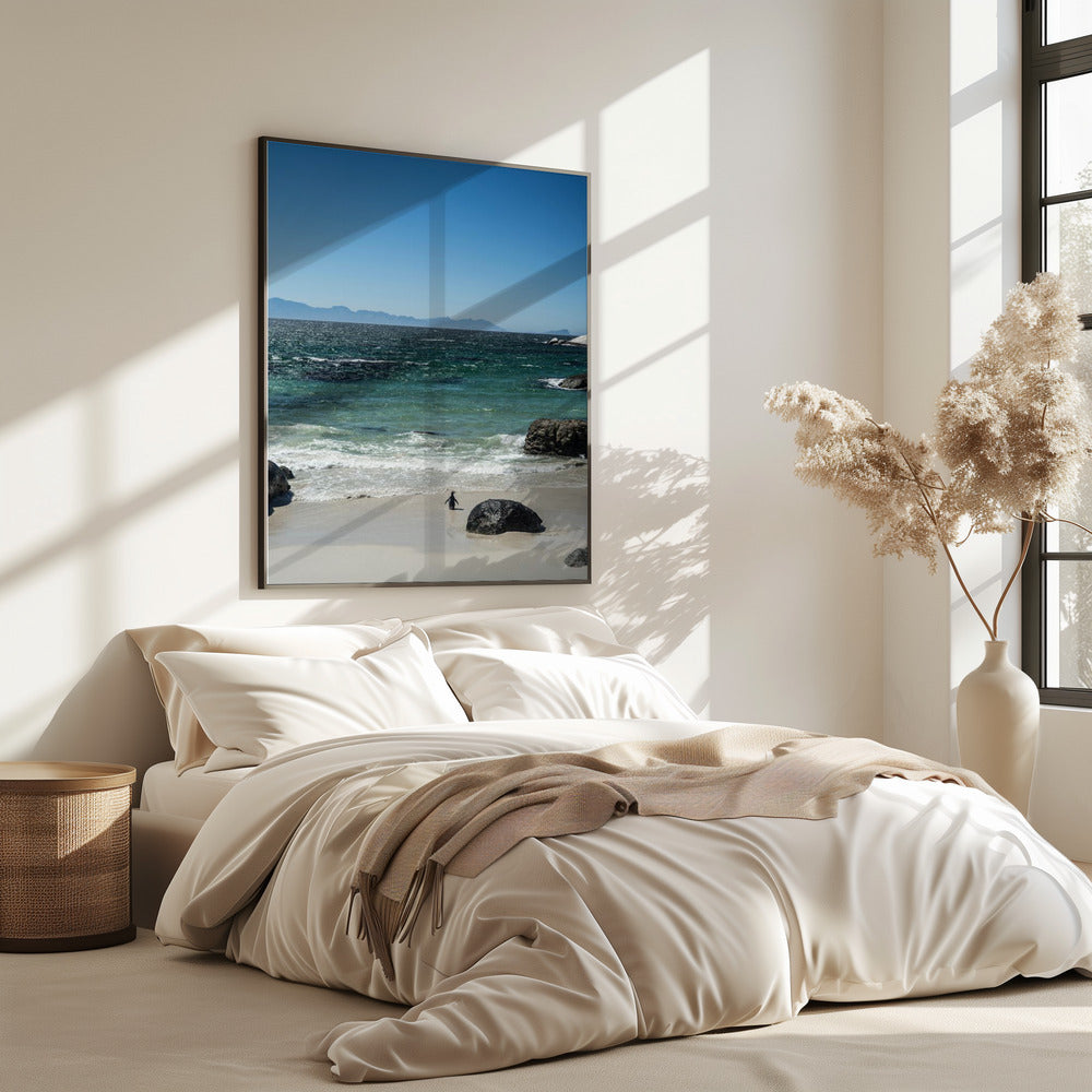 Penguin's Beach Walk | Poster