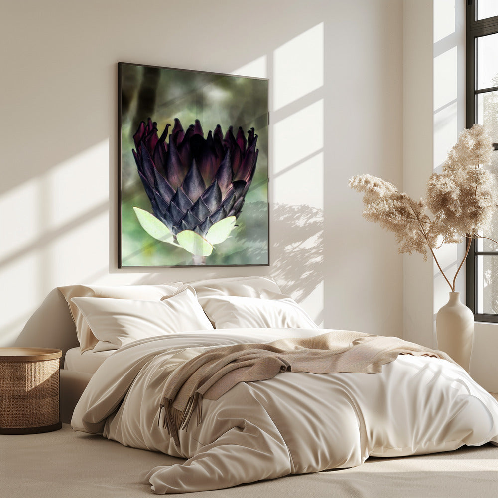 Shadowed Blossom | Poster