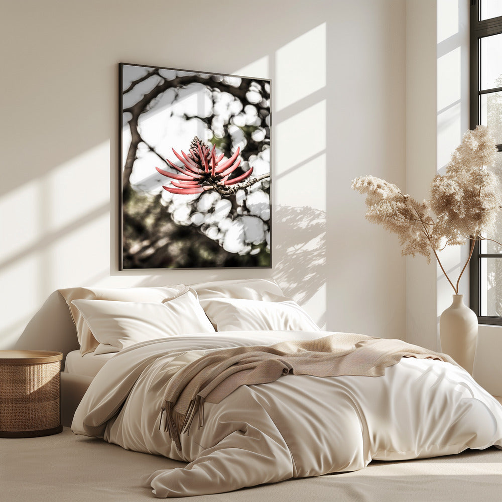 Crimson Blossom | Poster